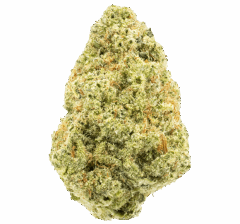Jack Herer