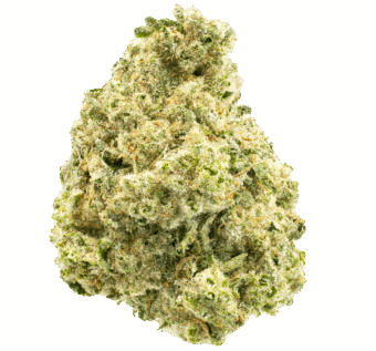 Bananna Kush