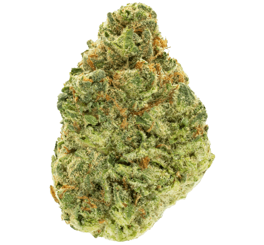 Super Lemon Haze