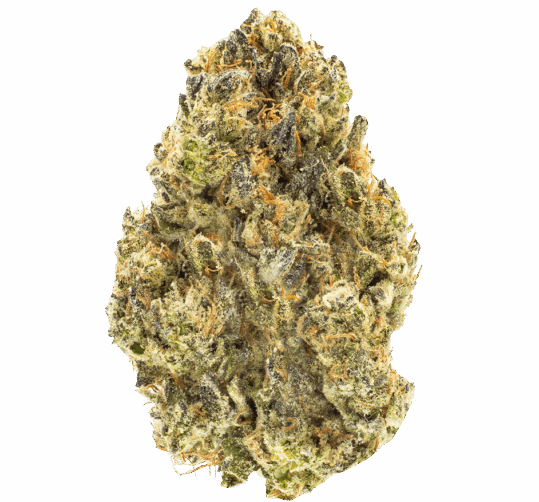 Juicy Jack