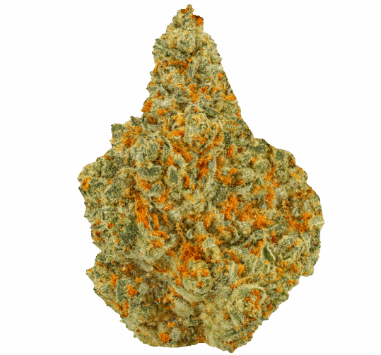 Honey Diesel