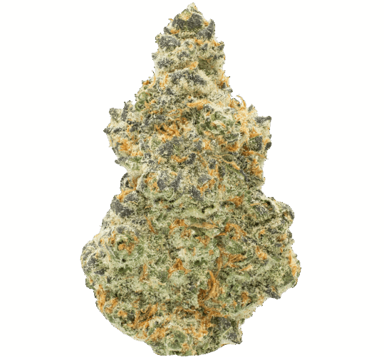 Mendos Breath