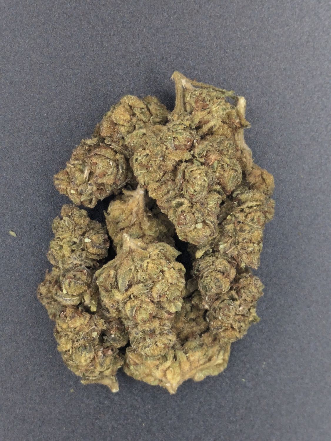 Dosido