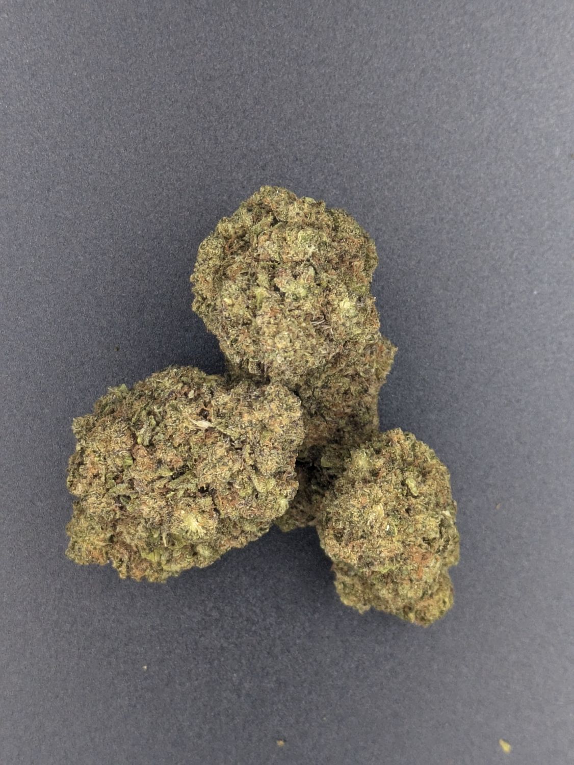 Black Cherry Soda