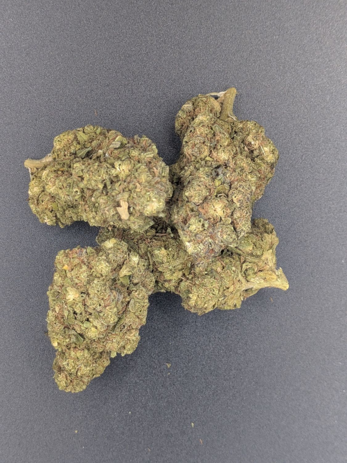 Amneisa Haze