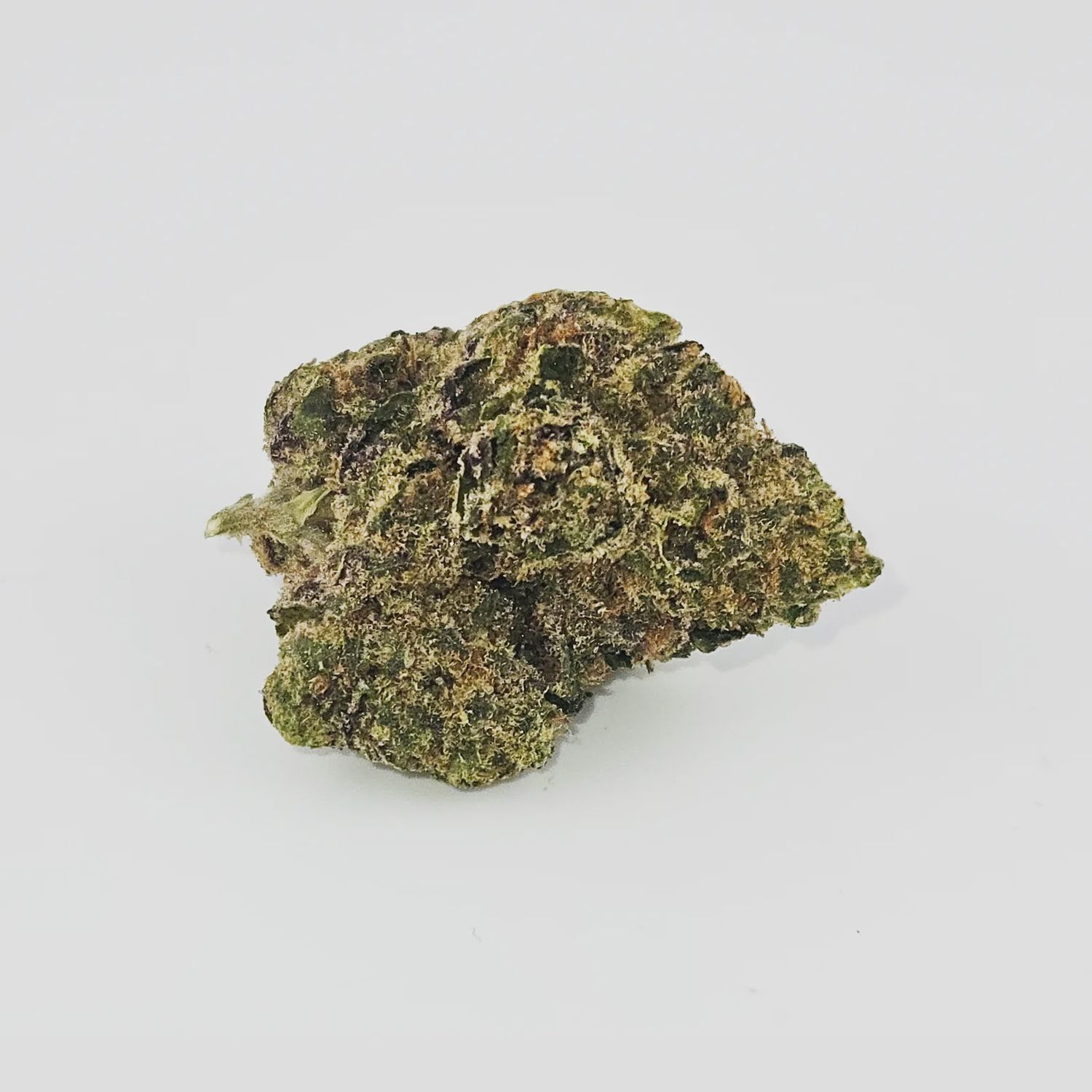 Blueberry Muffin