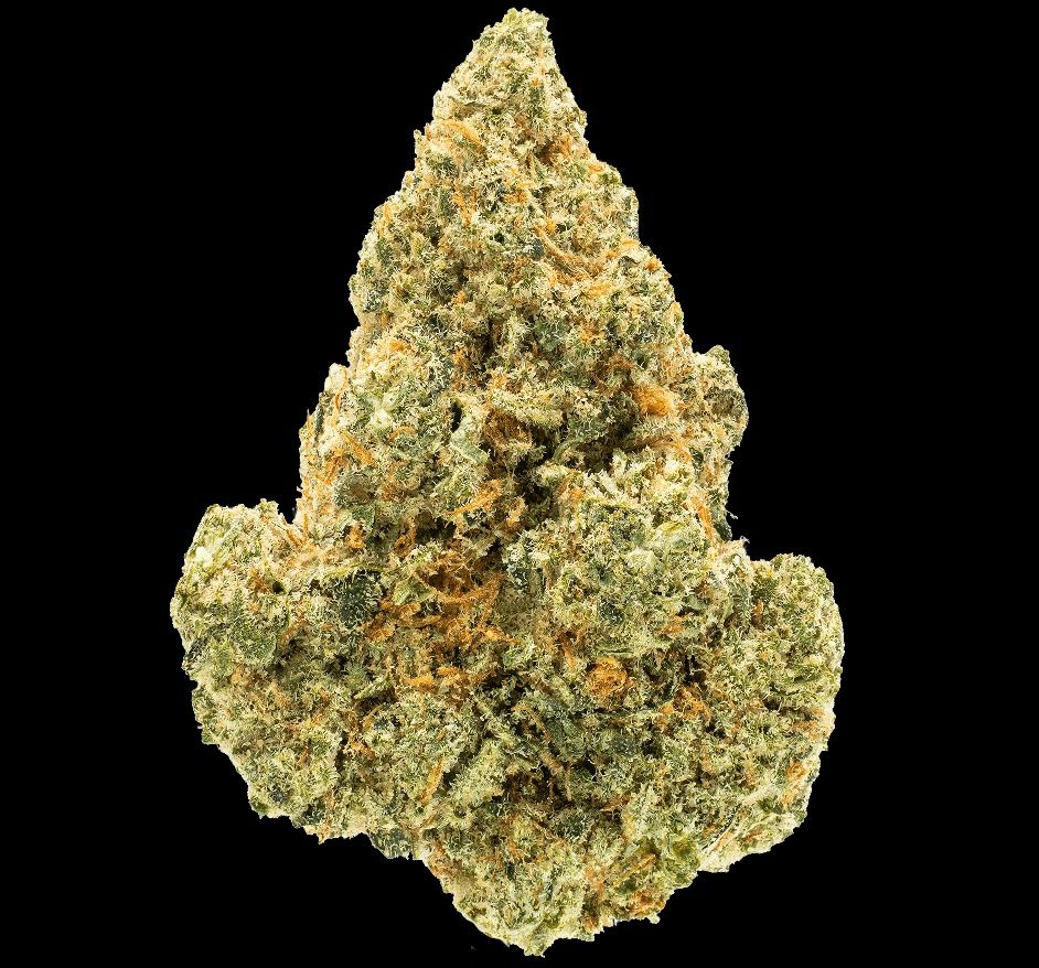 Apricot Scones, Size: 1 Gram