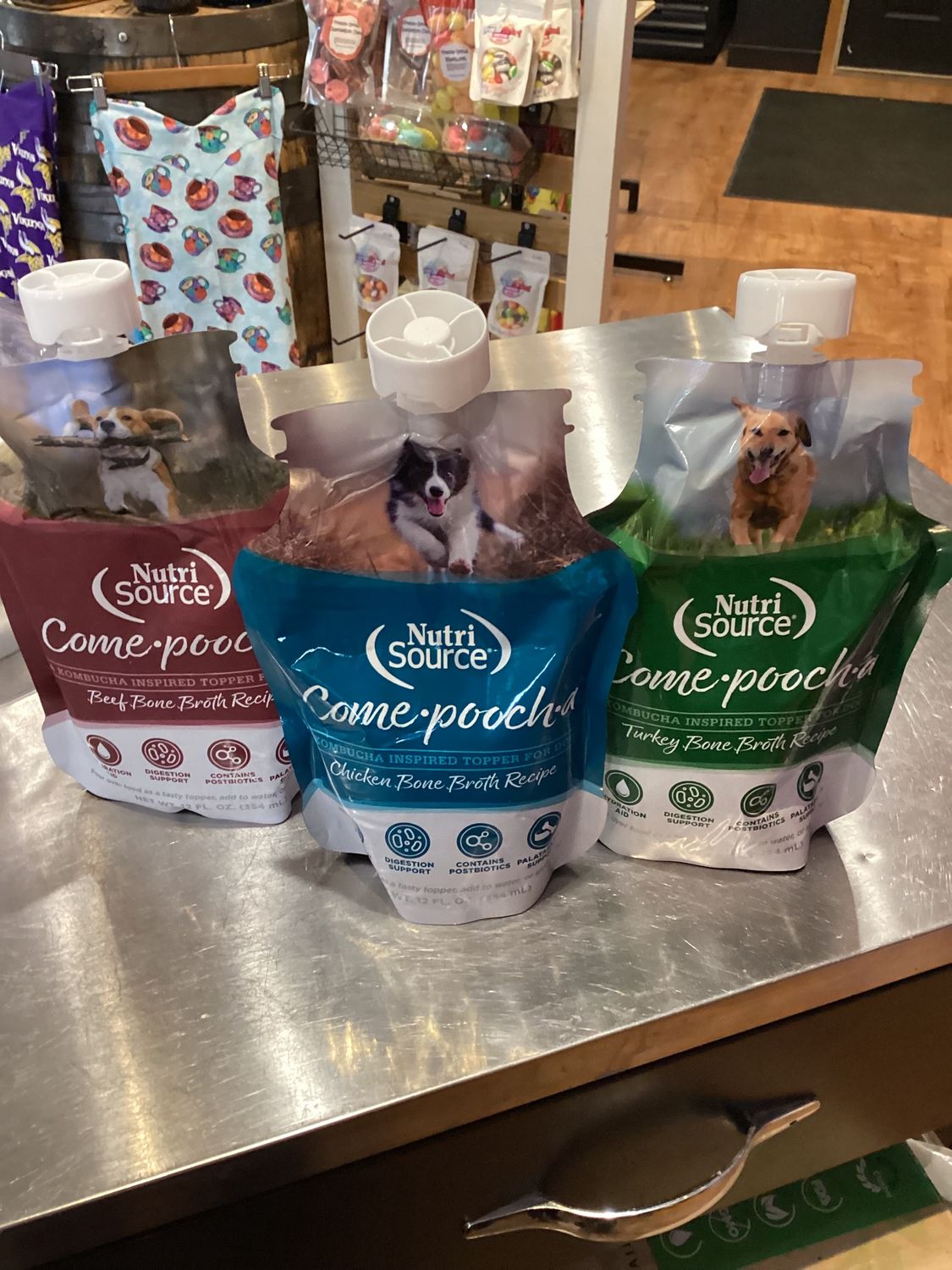 Dog- Come-Pooch-A Broth