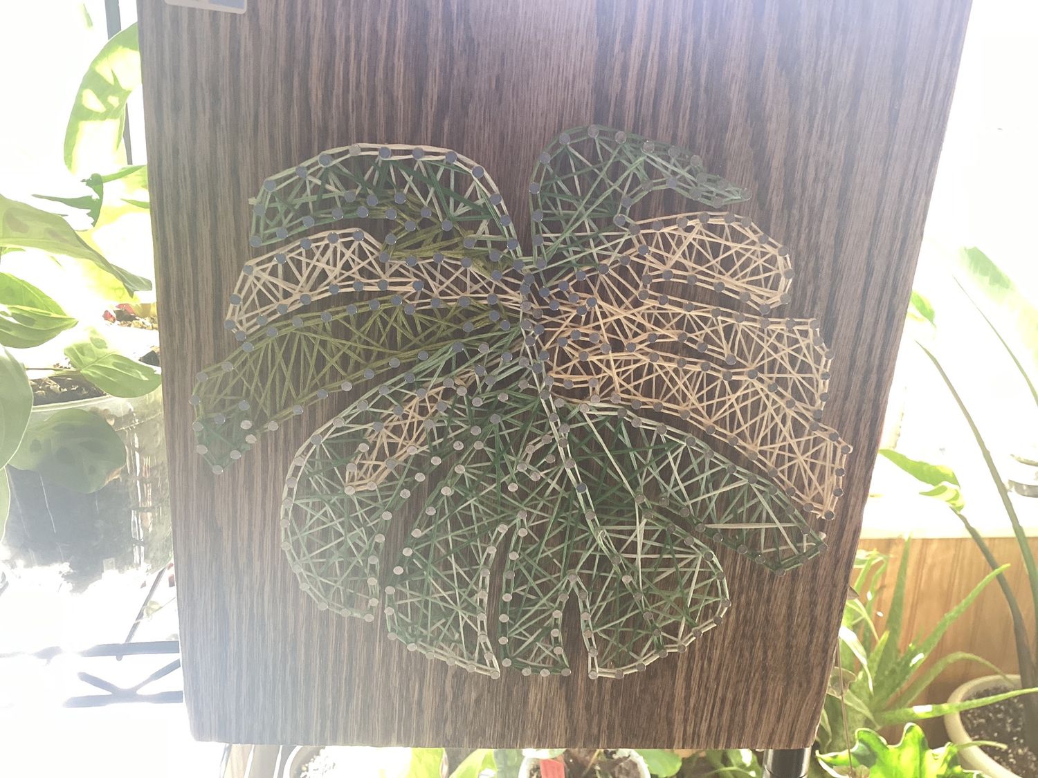 Mounted String Art, Design: Hosta Leaf