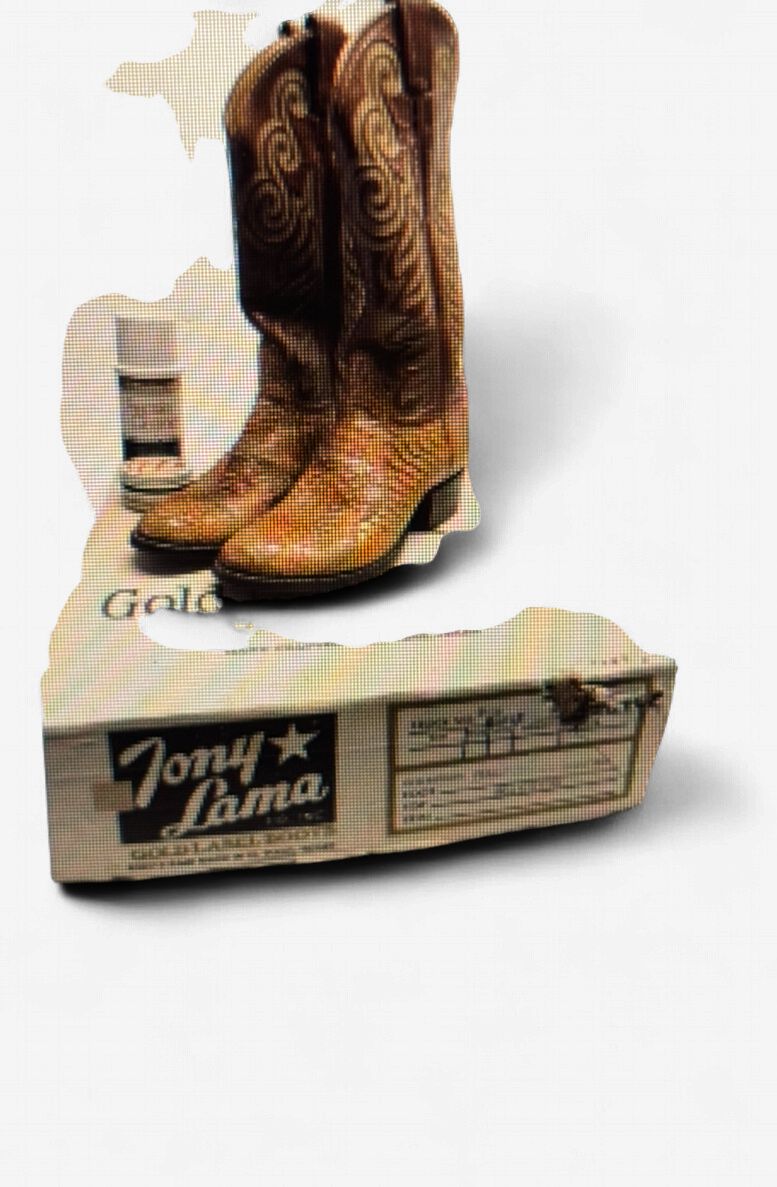 Boots - Snake Skin Cowboy