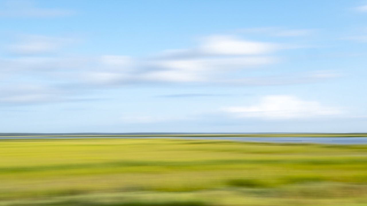 Afternoon Delight 812