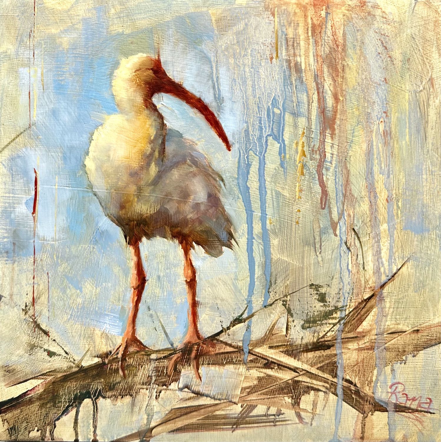 Ibis