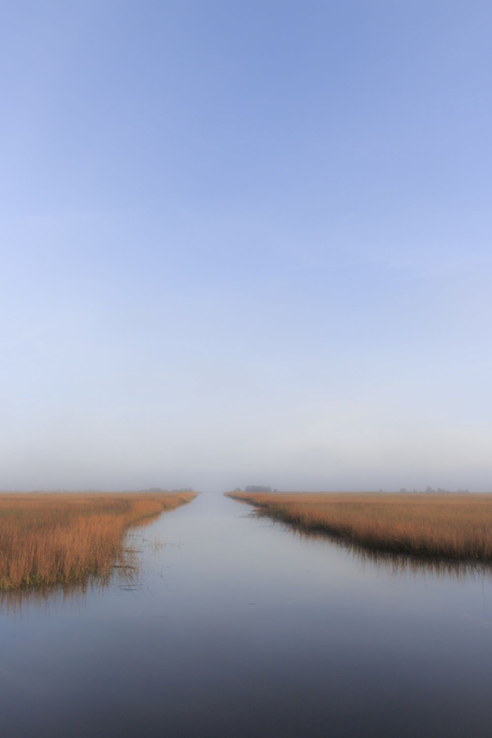 Ace Basin