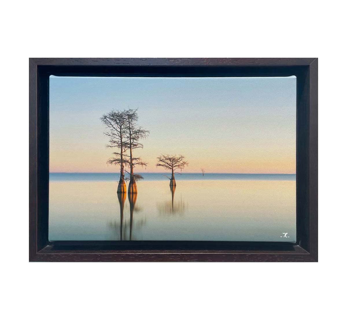 Winter Cypress I