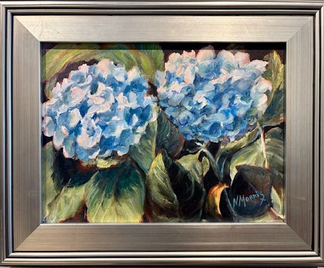 My Hydrangeas