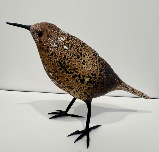 Some Kind of Thrush