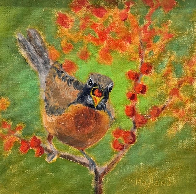 Avian Expressions (Robin)