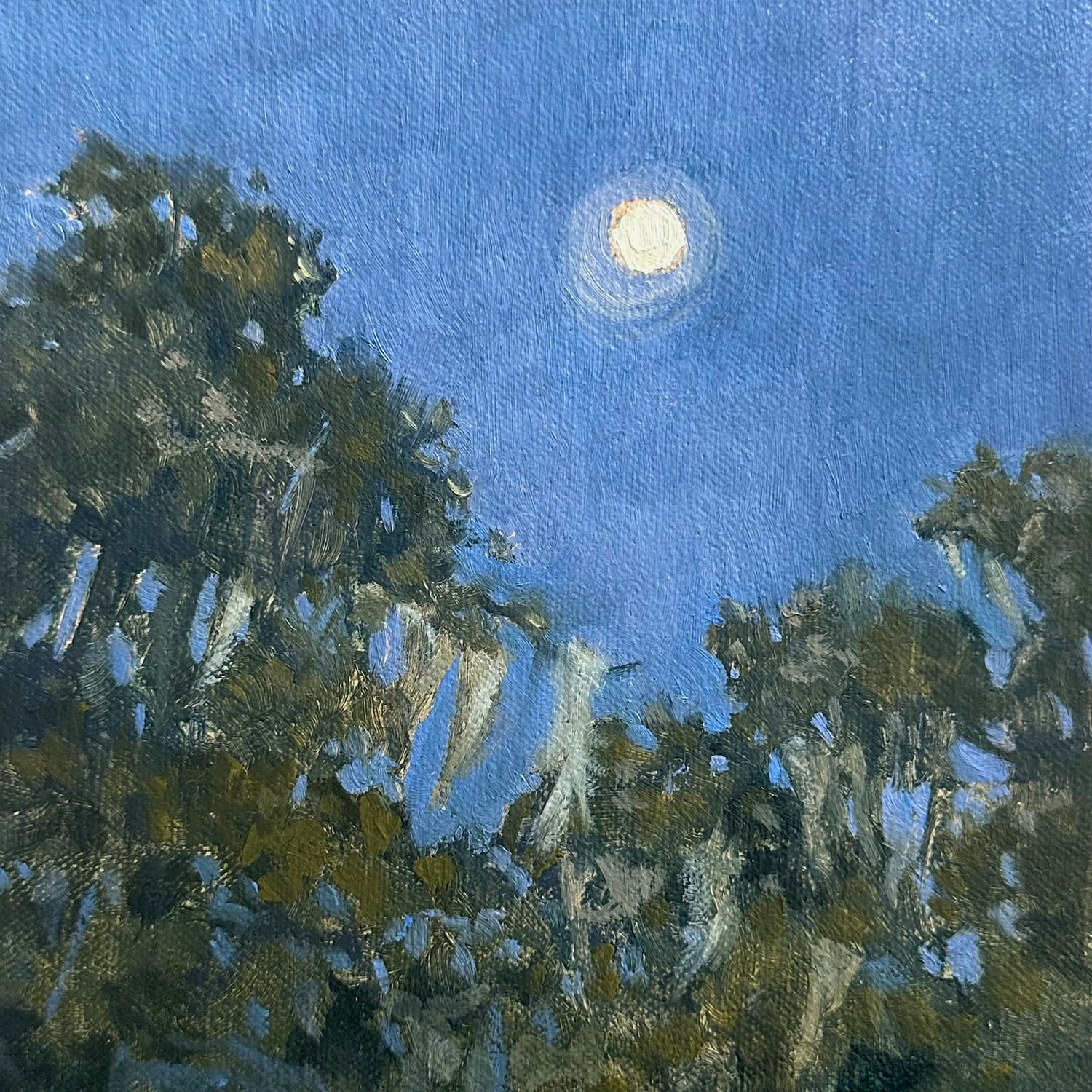 Tree Top Moon