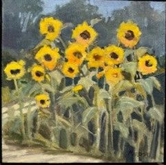 August Sunflowers