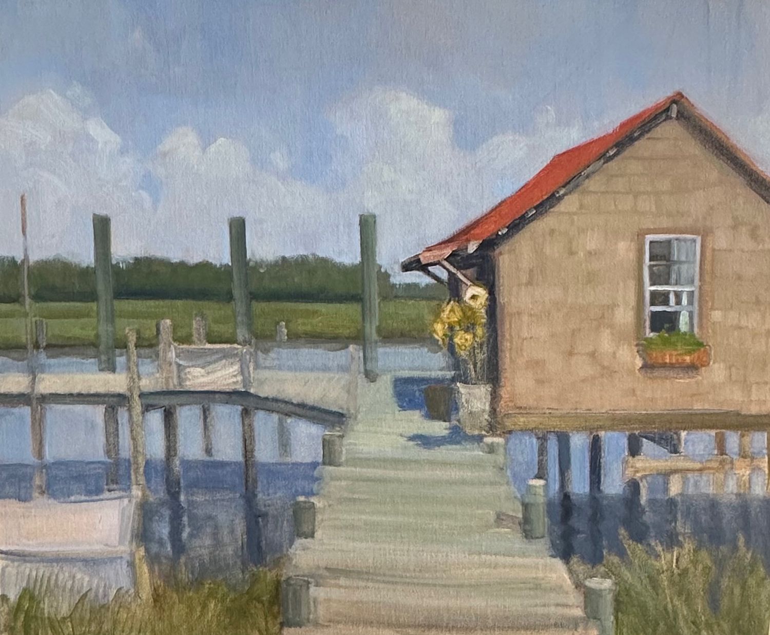 Summer at the Shed