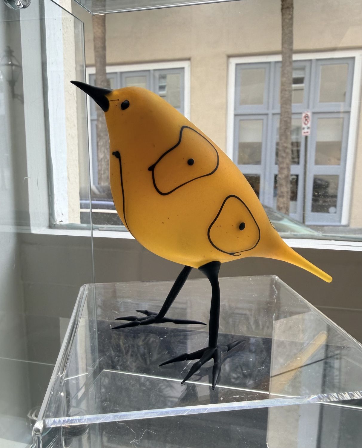 Translucent Yellow Warbler