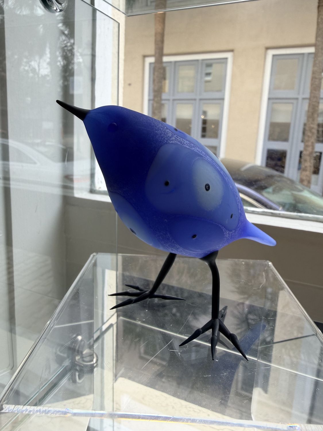 Blue's Bird