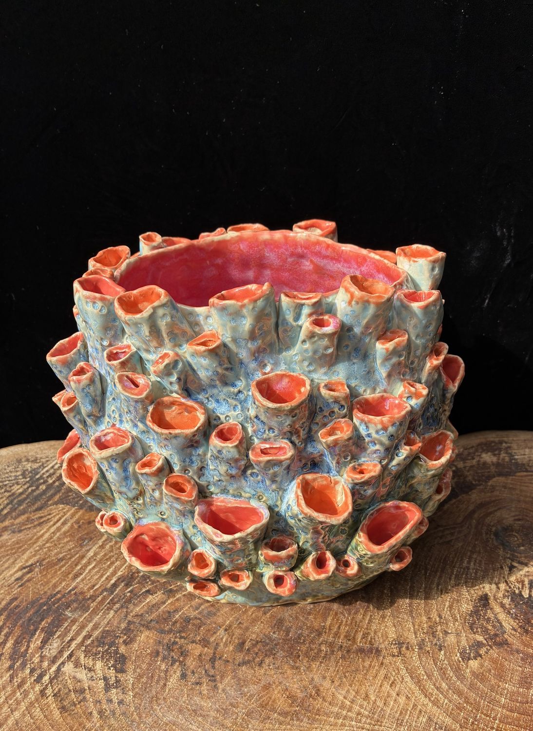 Pipe Organ Coral in Blue
