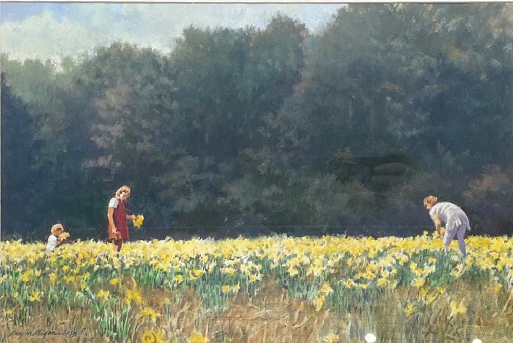 Daffodil Harvest