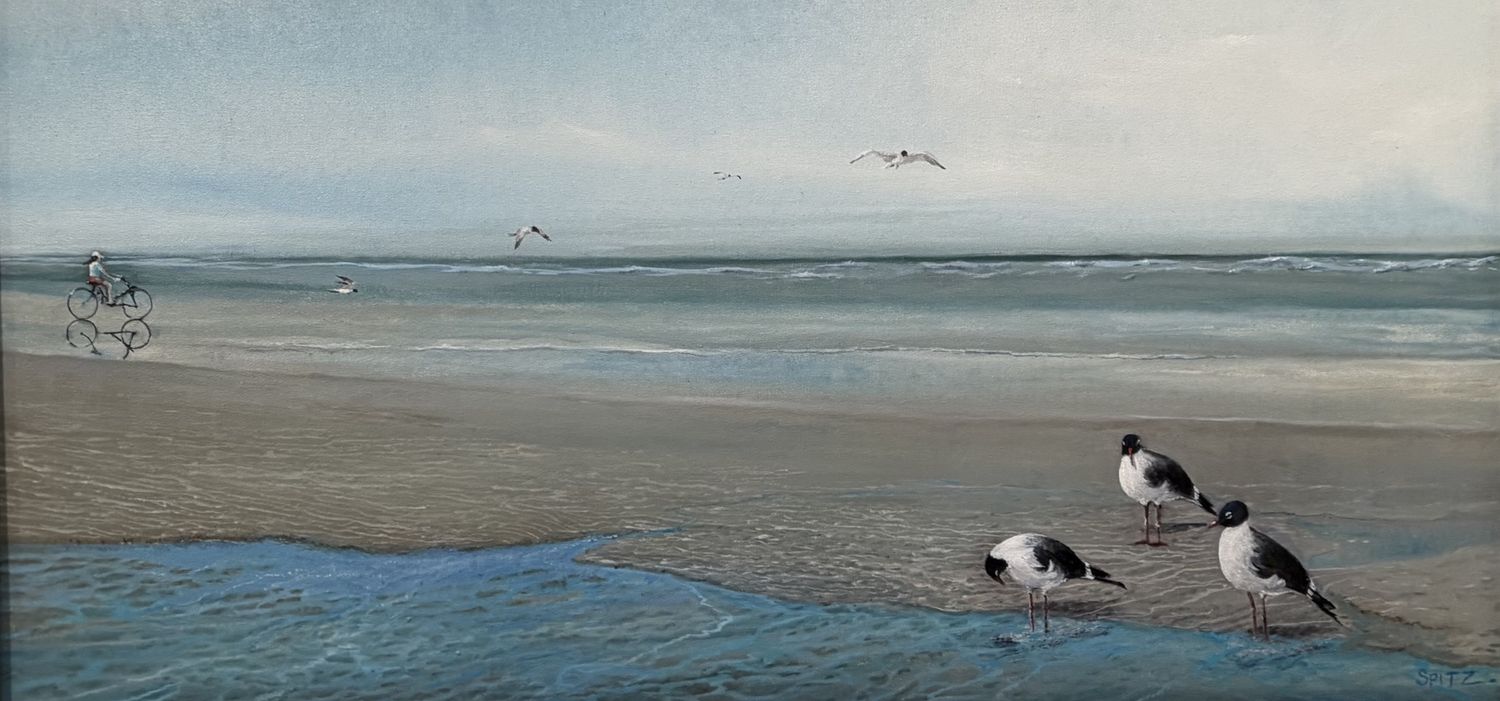 Shore Birds