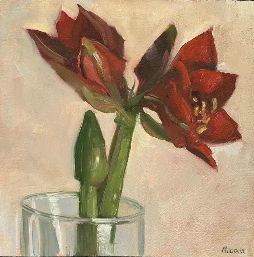 Forced Blooms