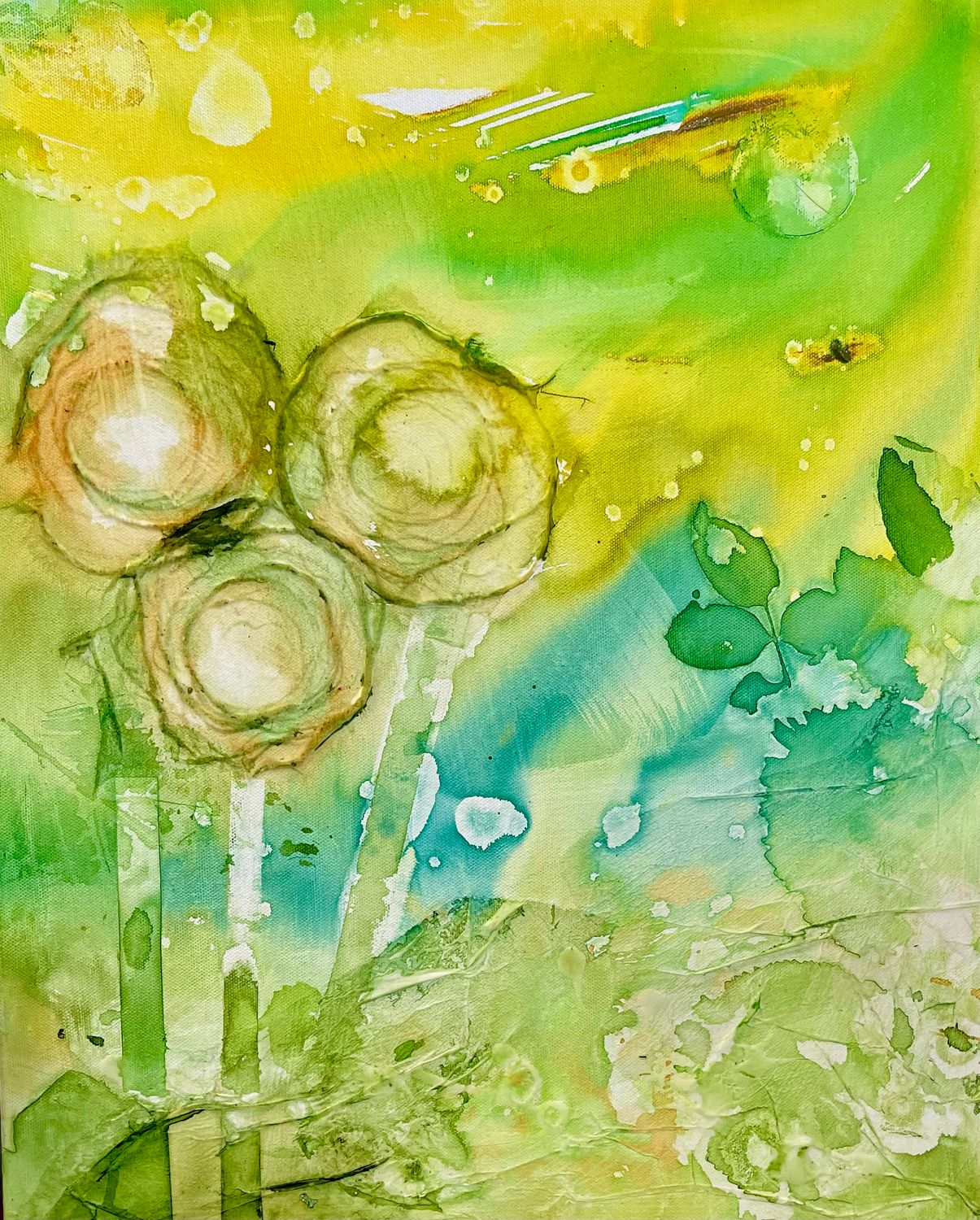 Oasis