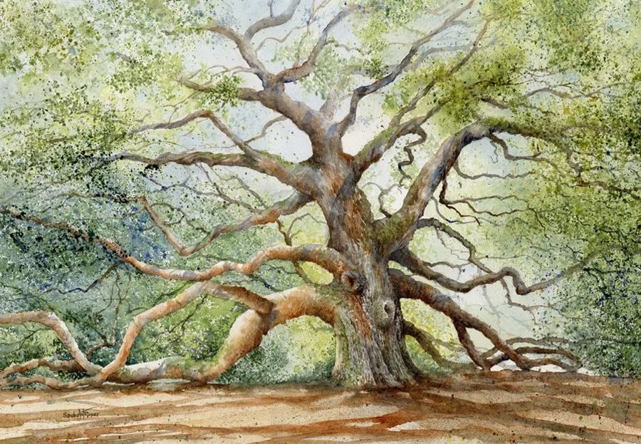 Under the Angel Oak Tree