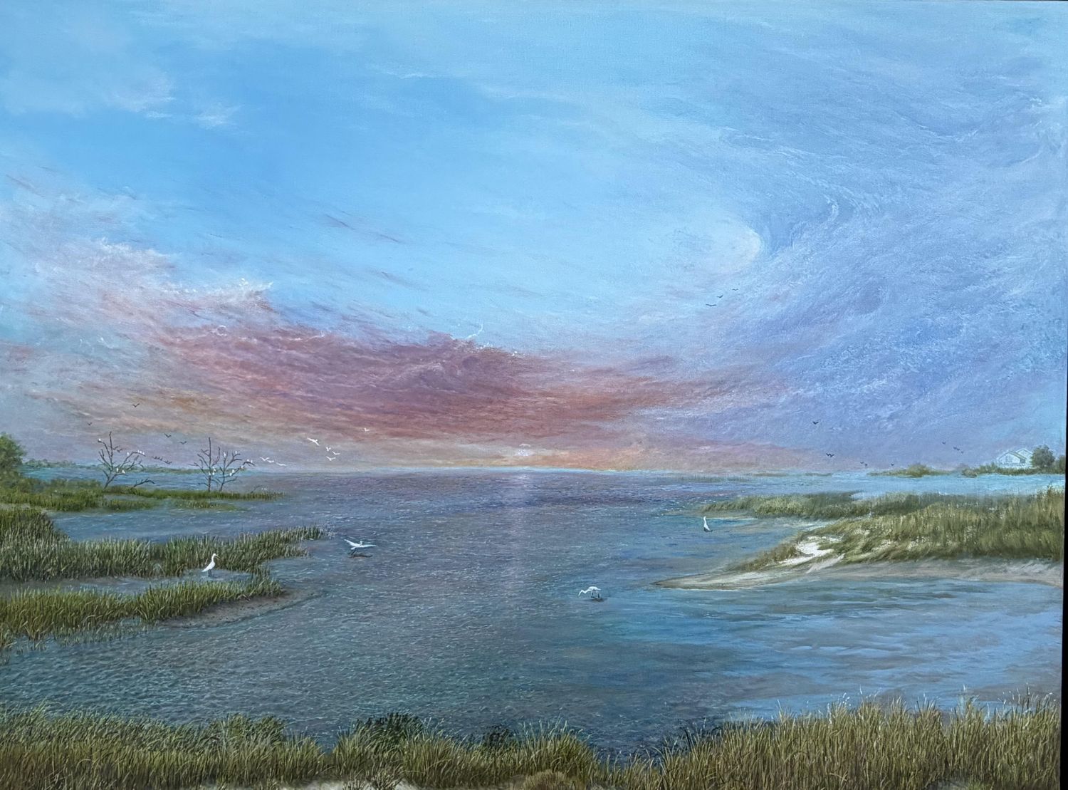 Marsh Birds at Sunset