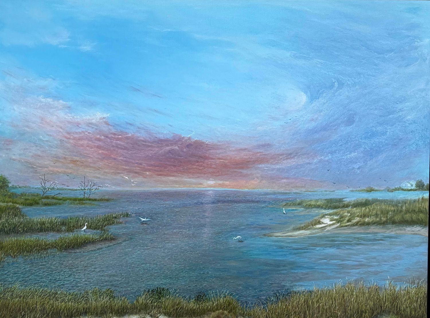 Marsh Birds at Sunset