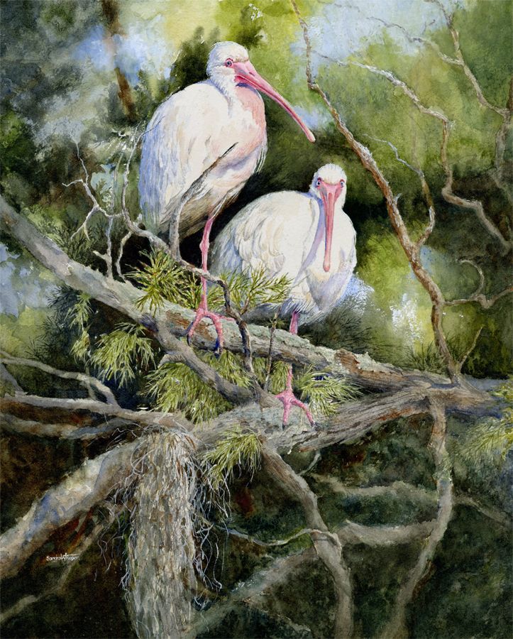 Pink Sentinels