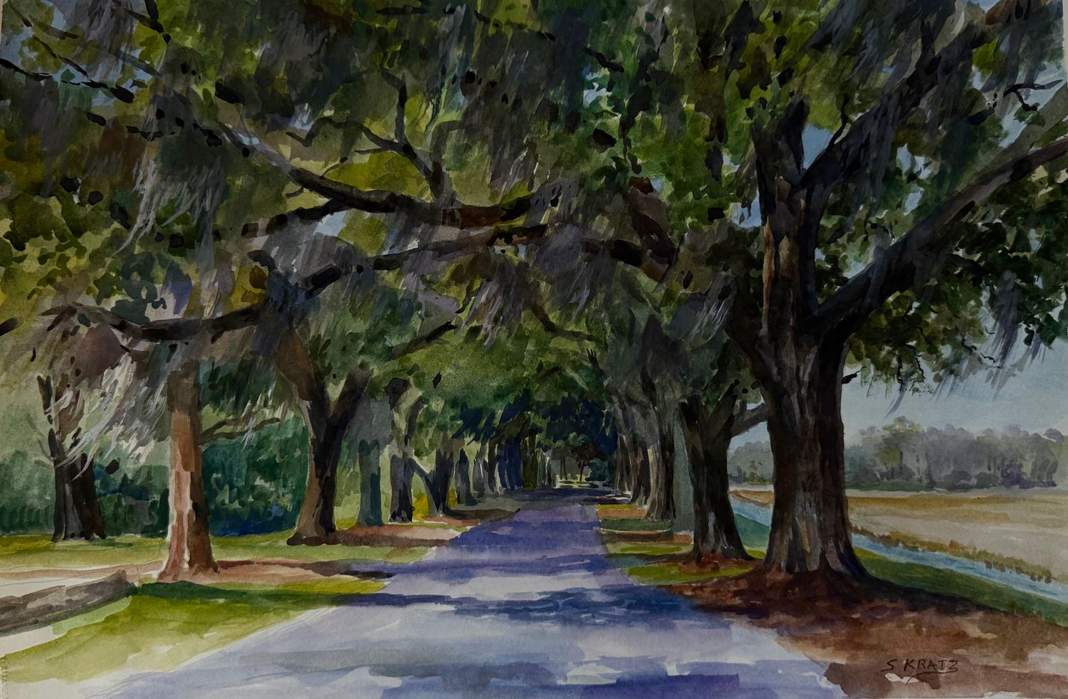 Caledonia Avenue of Oaks