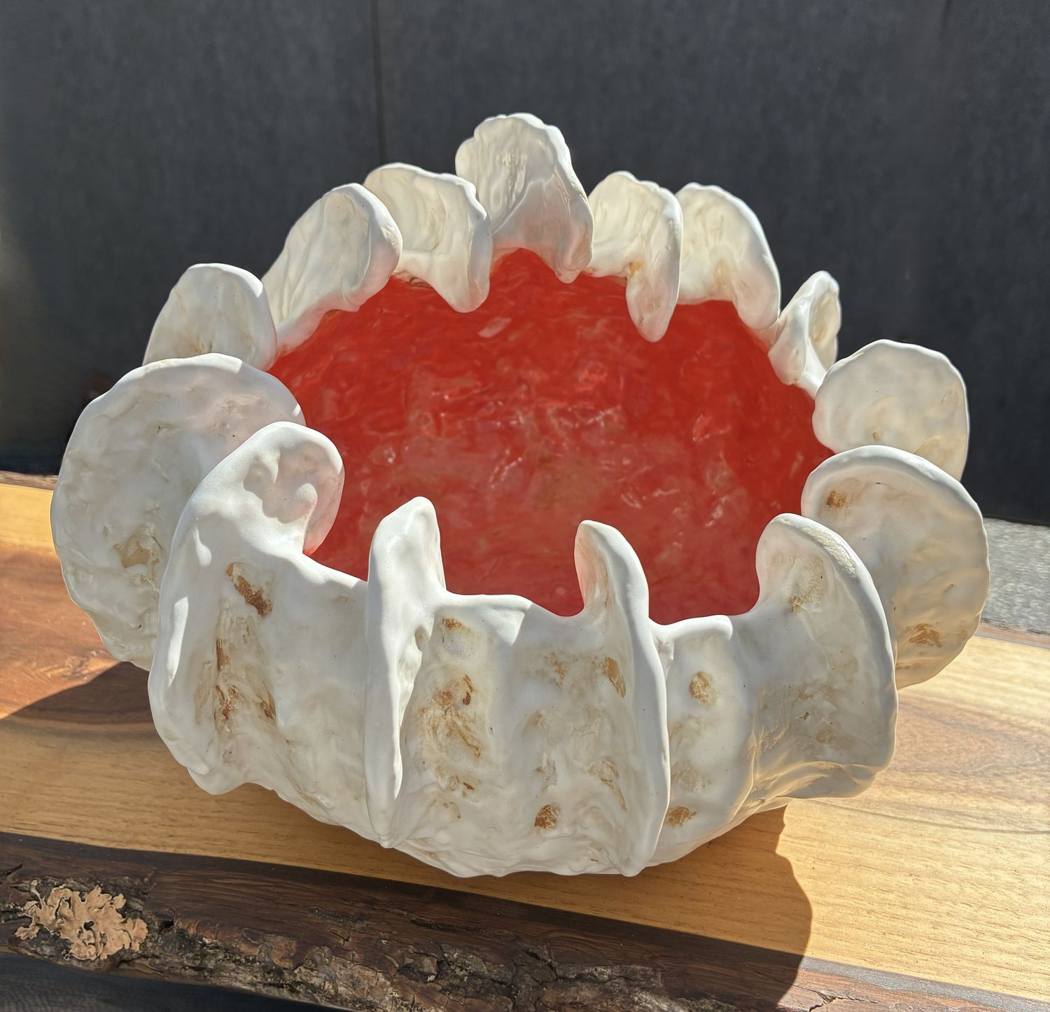 Winged Conch
