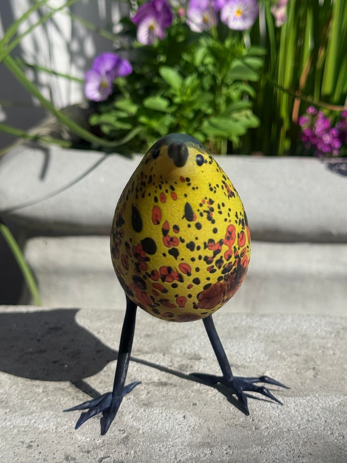 Dark Spotted Thrush