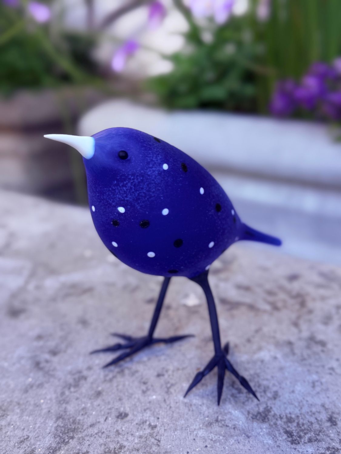 Spotted Dark Cobalt Finch