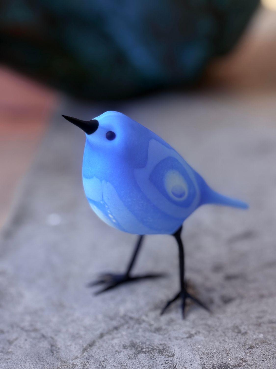 Banded Blue