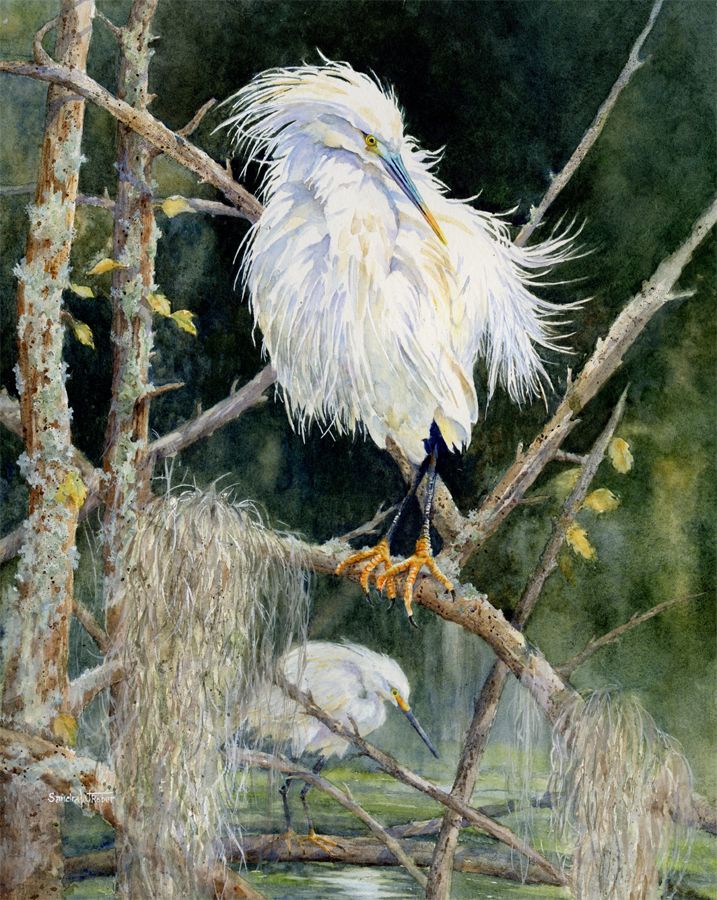A Quiet Presence