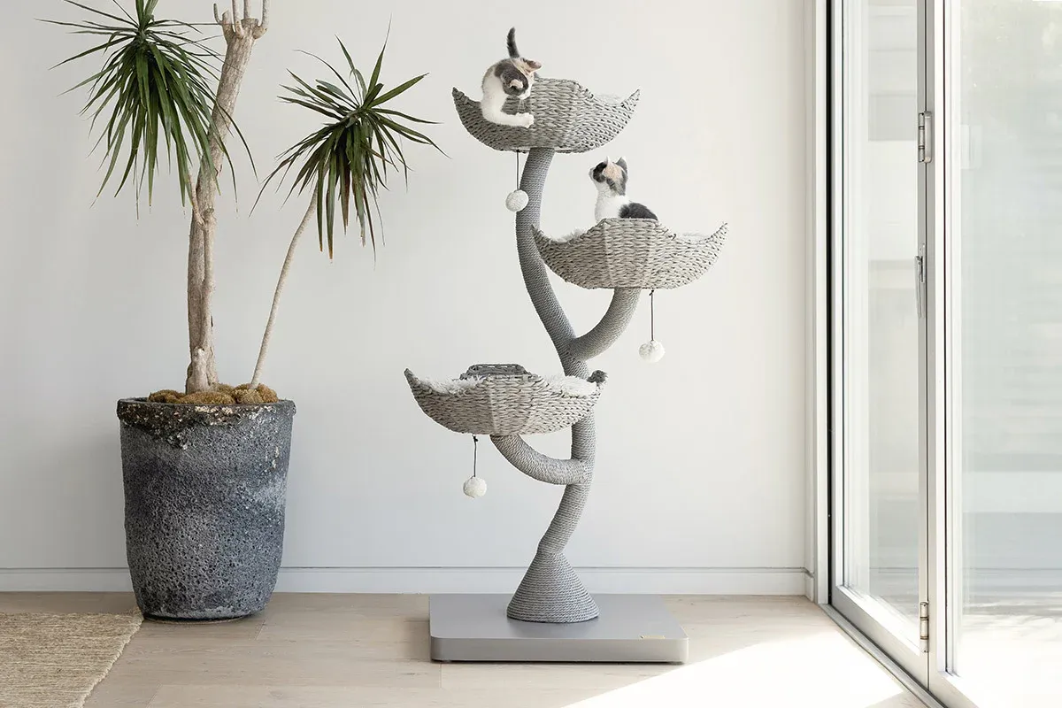 Luna Loft Tree