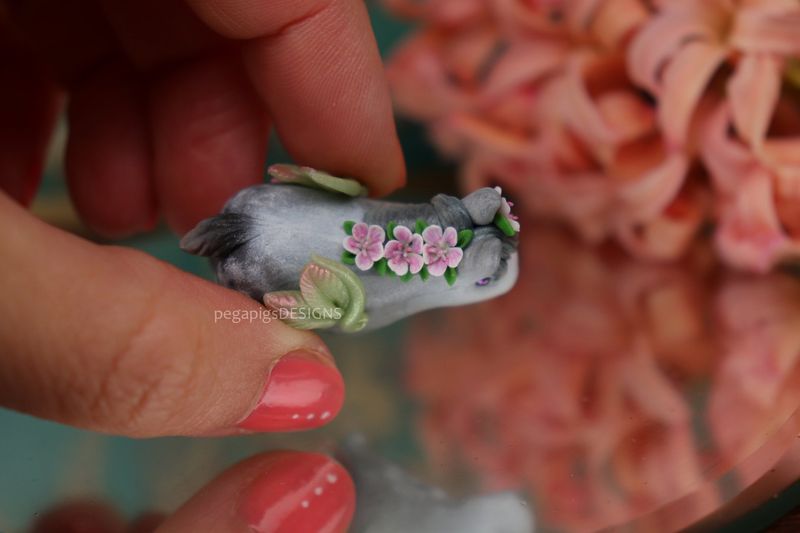 Pegawiehi - Spring Beauty