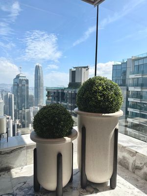 Artificial Floor Plants 仿真座地綠植軟裝擺設