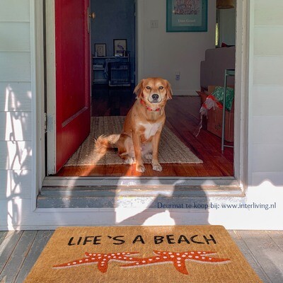 deurmat- om je voeten schoon te vegen - schoonloopmat 46 x  76 cm - tekst: "Life's a beach" - anti slip onderkant