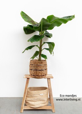 Manden set van gedroogde en geweven bladeren van de Hogla riviergras plant - set van 3 ronde manden