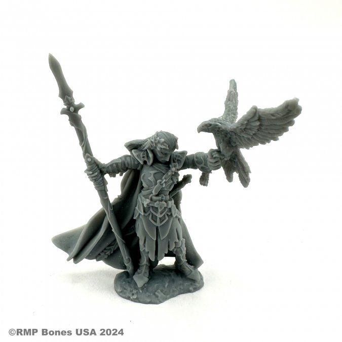 Bones USA Dungeon Dwellers: Wood Elf King