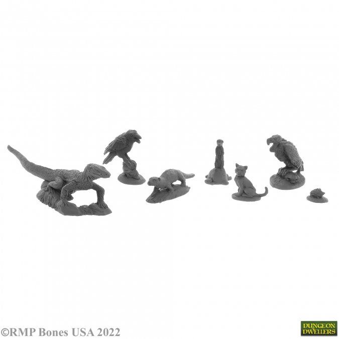 Bones USA Dungeon Dwellers: Familiars 3