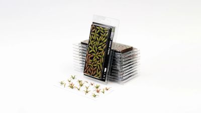 Laser Plants: Deer Fern