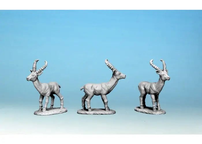 Antelope